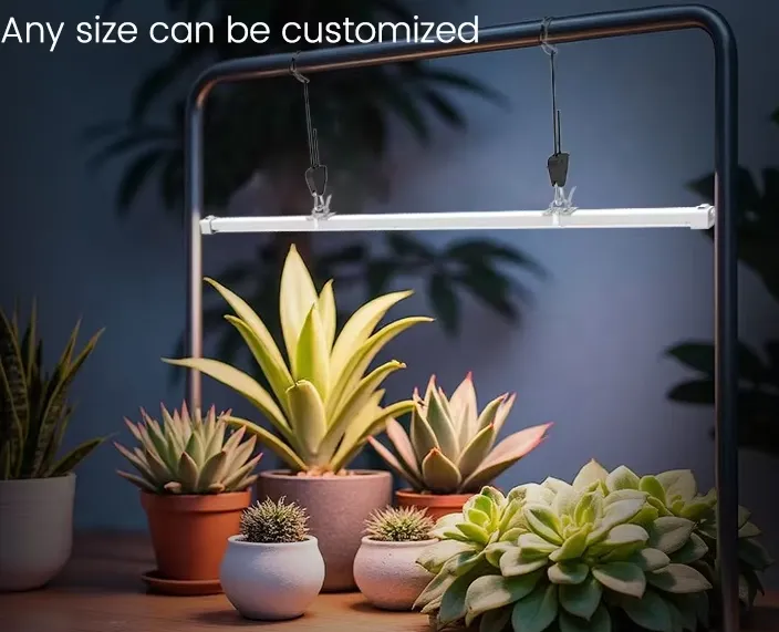 product-704-571 product-704-571